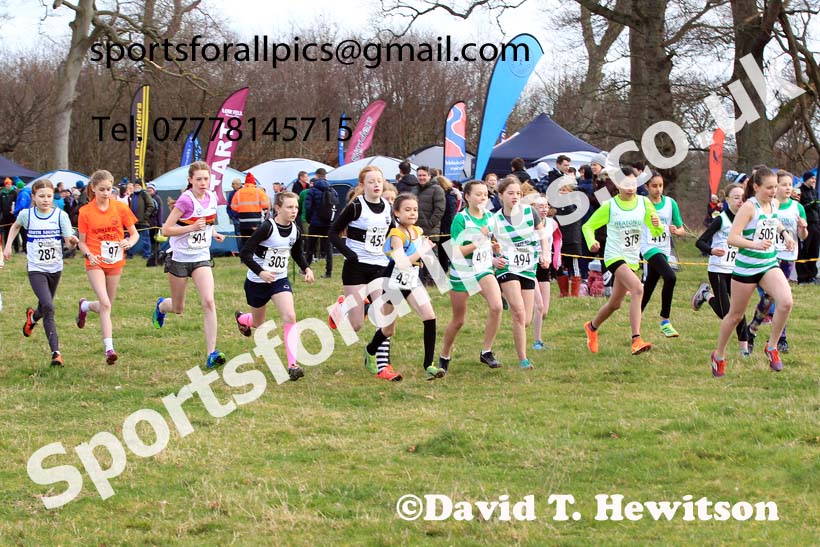 Girls Under-13s 2023 NEHL, Alnwick, Northumberland. Photo: David T. Hewitson/Sports for All Pics